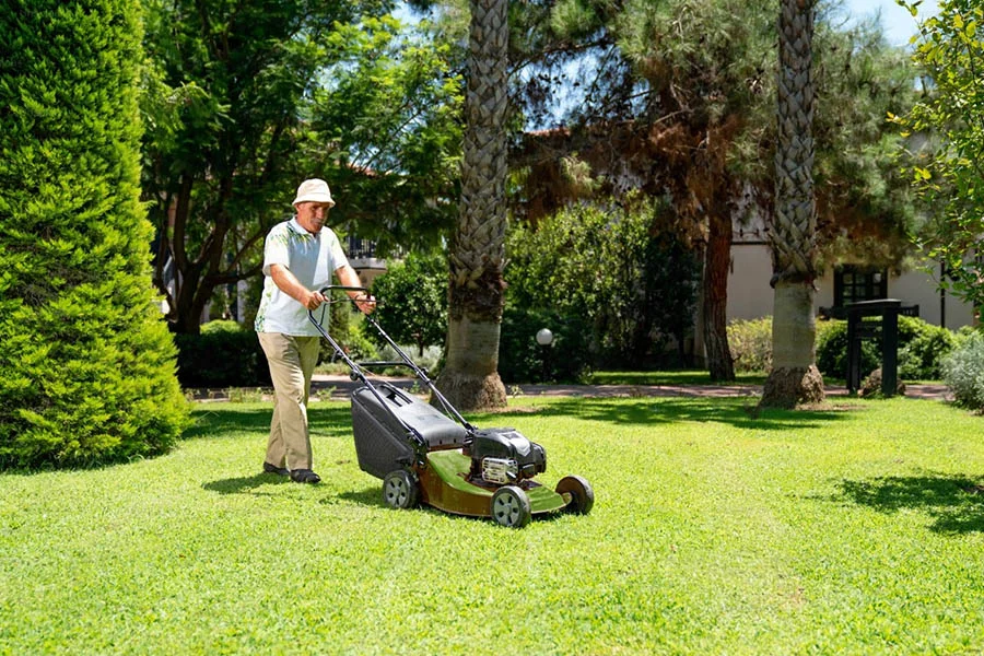 brushless lawn mower